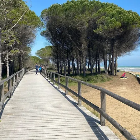 Large In Terme Bibione